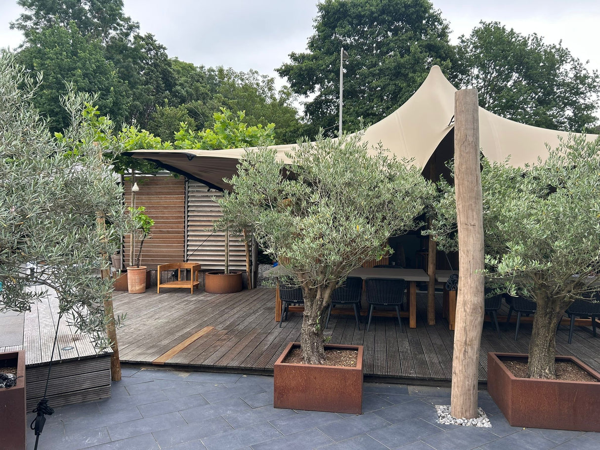 Robinia pole as a fixed pole on a stretch tent