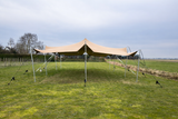 Gebruikte stretchtent 10.00x10.50 meter