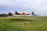 Gebruikte stretchtent 10.00 x 10.50 meter