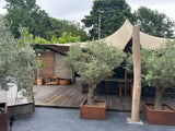 Robinia pole as a fixed pole on a stretch tent
